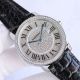 TW Cartier Ronde Solo de Cartier Watch Silver Iced Out Roman Markers (8)_th.jpg